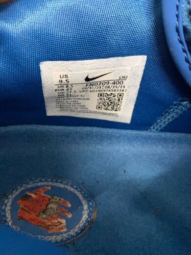 商品画像：LEBRON 21_レブロン 21/27.5cm/BLU// 5