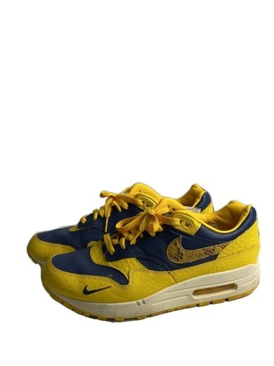 商品画像：AIR MAX 1 PRM_エアマックス 1 プレミアム/28cm/YLW 1