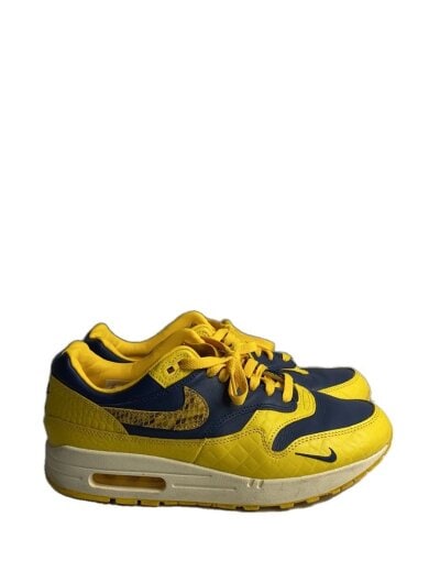 商品画像：AIR MAX 1 PRM_エアマックス 1 プレミアム/28cm/YLW 2