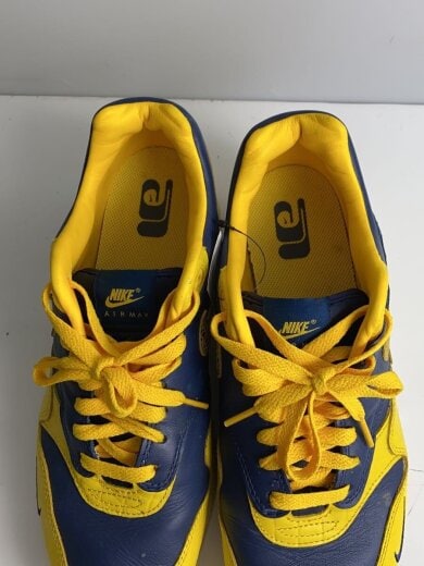 商品画像：AIR MAX 1 PRM_エアマックス 1 プレミアム/28cm/YLW 4