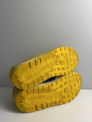 商品画像：AIR MAX 1 PRM_エアマックス 1 プレミアム/28cm/YLW 6