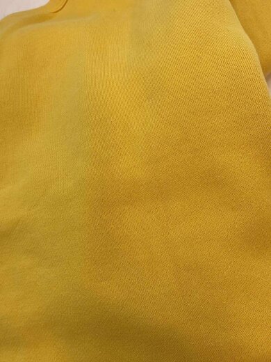 商品画像：スウェット/L/コットン/YLW/GAY BLADES 9