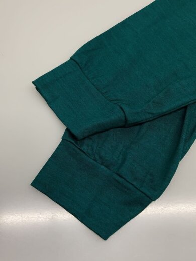 商品画像：ポロシャツ/2/ウール/GRN/M25C21CS03C// 5