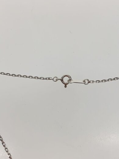 商品画像：ネックレス/SV925/SLV/トップ有/メンズ 3