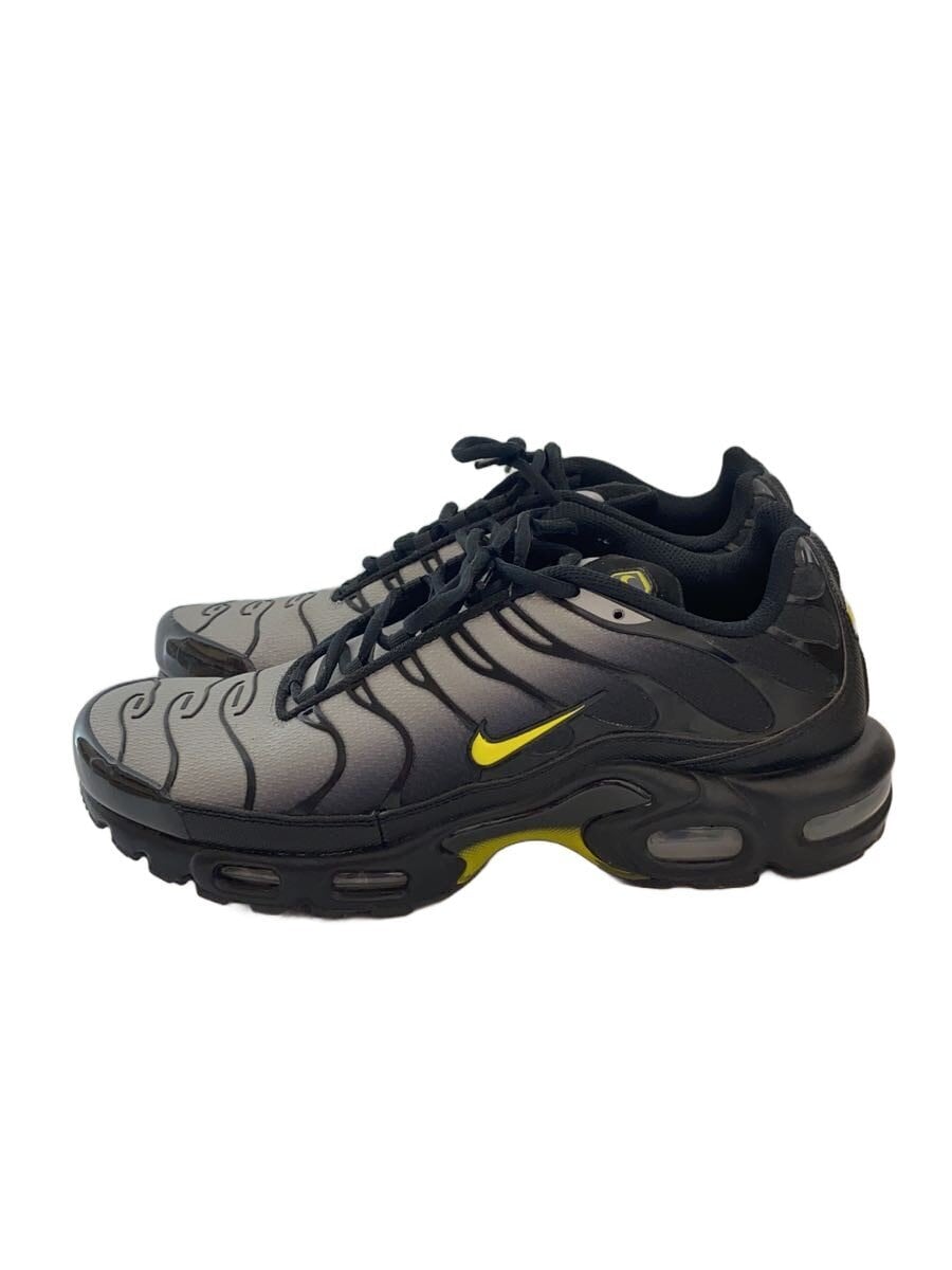 NIKE / AIR MAX PLUS_エアマックス プラス/28cm/DM0032-012