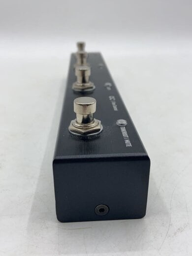 商品画像：エフェクター/Xenagama Tail Loop MK3/スイッチャー 2