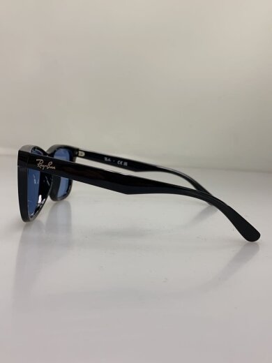 商品画像：サングラス/ウェリントン/プラスチック/BLK/BLU/メンズ/RB4391D 3