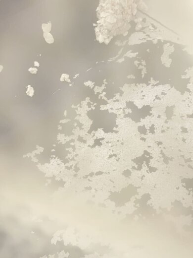 商品画像：NAUTICA COMPETITION/ナイロンジャケット/XL/ナイロン/マルチカラー 7