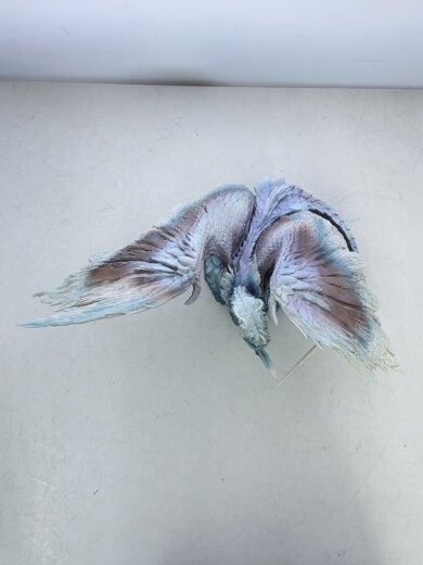 商品画像：フィギュア/ゲームフィギィア/一番くじ/イヴェルカーナ 5