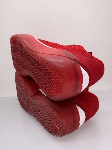 商品画像：AIR JORDAN XXXIX PF_エア ジョーダン 39 PF/28cm/RED 4