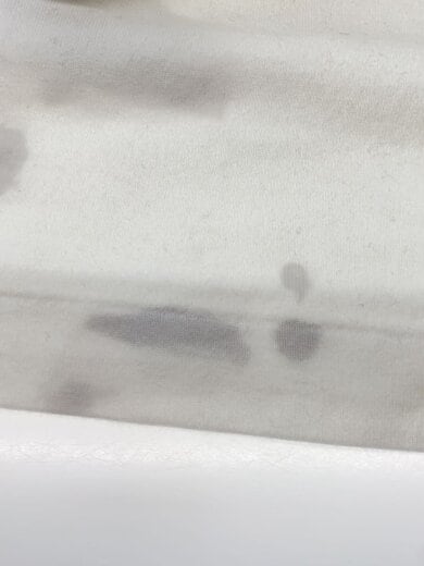 商品画像：Tシャツ/--/コットン/WHT/bROOTS24S33// 6