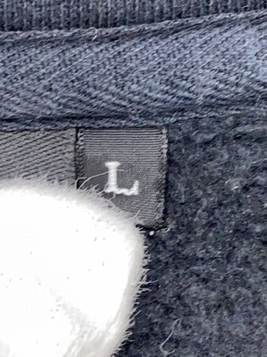 商品画像：REAVIEW FULL ZIP HOODIE_リアビューフルジップフーディ/L/コットン/BLK// 4