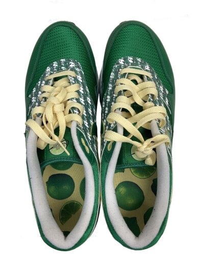 商品画像：AIR MAX 1 PREMIUM_エアマックス 1 プレミアム/28cm/GRN// 3
