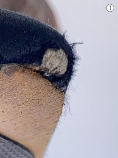 商品画像：パンプス/37/ブラック 6