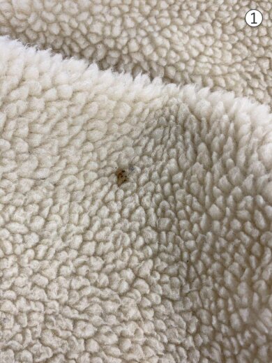 商品画像：フリースジャケット/S/ポリエステル/BEG/23055FA12 6