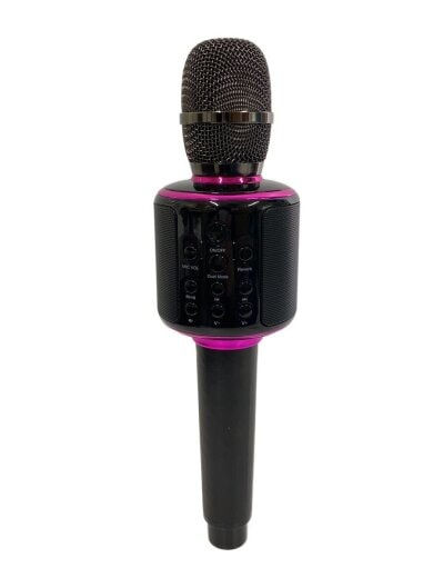 商品画像：LEO WAY/ワイヤレスカラオケ 1