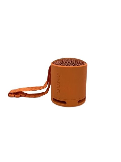 商品画像：スピーカー SRS-XB100 1