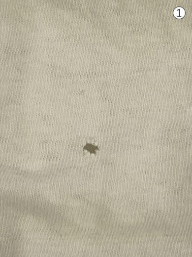 商品画像：Tシャツ/LAS VEGAS STRIPPER/M/コットン/ホワイト 5