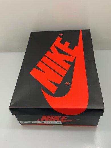 商品画像：AIR JORDAN 1 RETRO HIGH OG SP_エアジョーダン 1 レトロ ハイ オリジナル/28.5 6