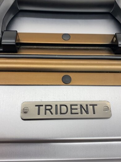 商品画像：トラベルキャリー/--/SLV/無地 5