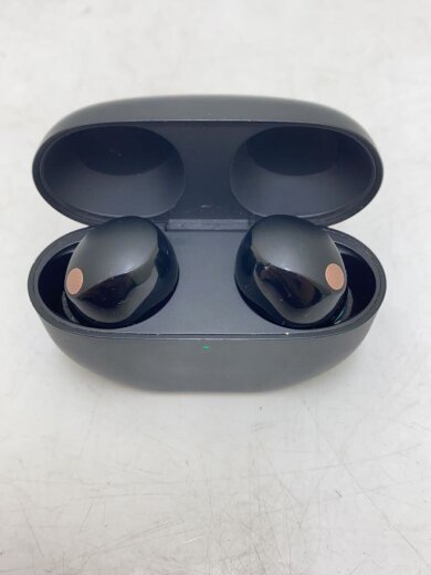 商品画像：イヤホン WF-1000XM5 5