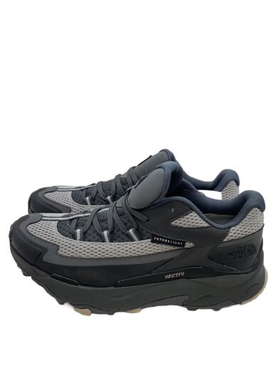 商品画像：ローカットスニーカー/27cm/GRY/NF0A5LWT 1