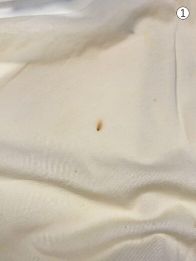 商品画像：ROBERT MAPPLETHORPE/17SS/Tシャツ/S/コットン/WHT/19002-00010// 6
