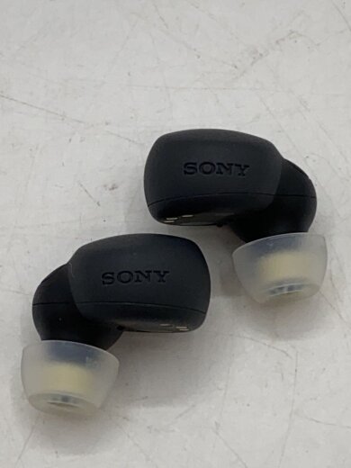 商品画像：イヤホン・ヘッドホン LinkBuds S WF-LS900N (B) [ブラック] 7