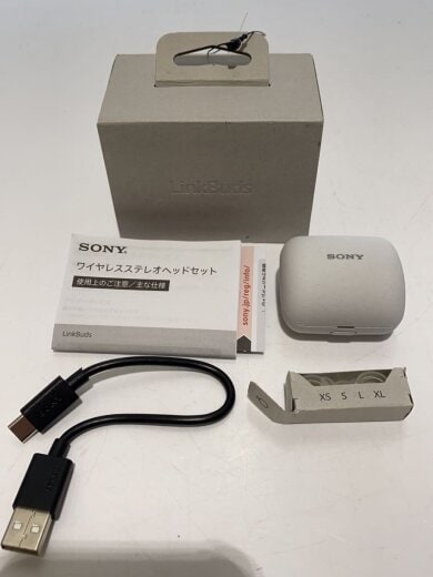 商品画像：イヤホン・ヘッドホン LinkBuds WF-L900 (W) [ホワイト] 7