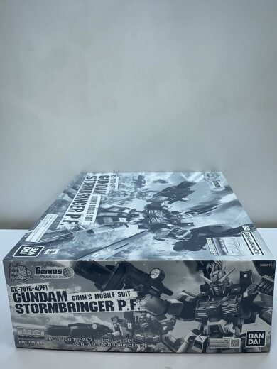 商品画像：プラモデル/MG 1/100 ガンダムストームブリンガー 3