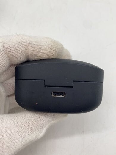 商品画像：イヤホン・ヘッドホン WF-1000XM4 (B) [ブラック] 4