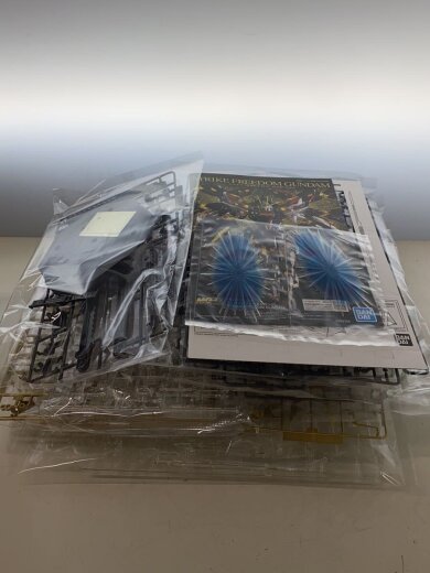 商品画像：MGEX 1/100 ストライクフリーダムガンダム【メカニクルクリア】 5