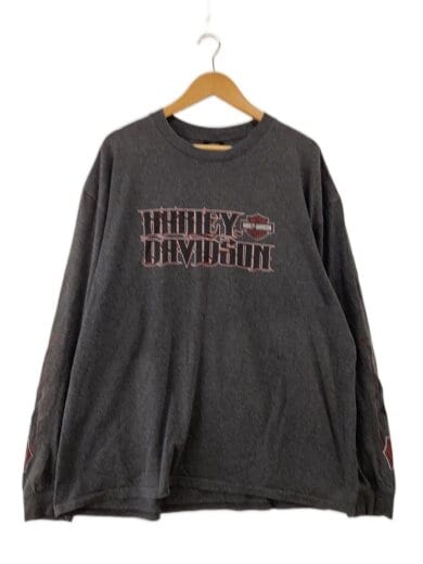 商品画像：袖プリント/コピーライト2012/両面プリント/長袖Tシャツ/XXL/コットン/GRY// 1