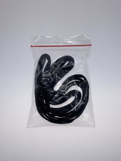 商品画像：ローカットスニーカー/26cm/BLK/F580825// 8