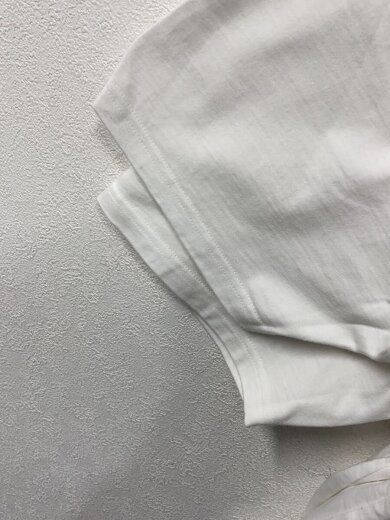 商品画像：Tシャツ/L/コットン/WHT/プリント/×buenavista 5