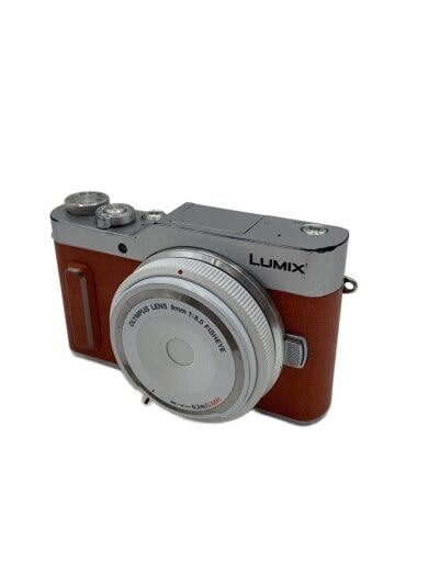 商品画像：デジタル一眼カメラ LUMIX DC-GF10WA-D  [オレンジ]// 1