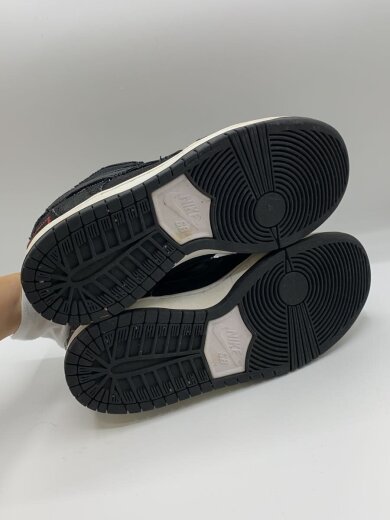 商品画像：WASTED YOUTH X DUNK LOW PRO_ウェイステッド ユース X ダンク ロー プロ/25cm/ 4