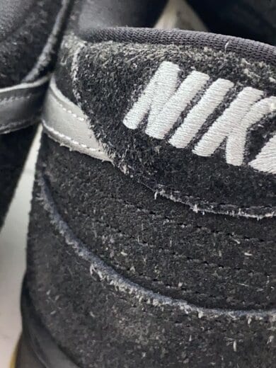 商品画像：DUNK LOW PRO_ダンク ロー プロ/30cm/BLK// 6