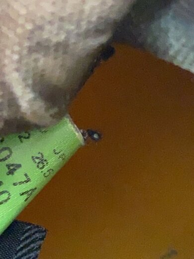 商品画像：ブーツ/26cm/CML 5