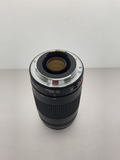 画像：CANONレンズ/EF 75-300mm　1:4-5.6 Ⅱ3