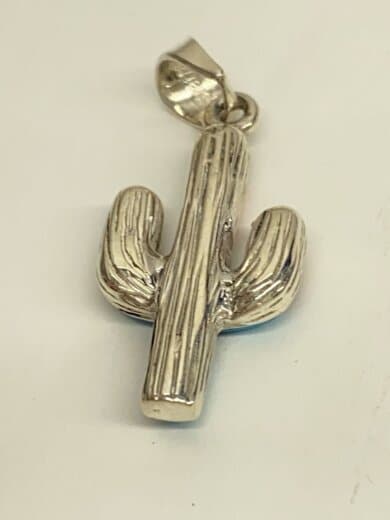 商品画像：ALBERT TAPAHA/ペンダントトップ/SV925/メンズ 3