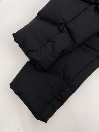 画像：THE NORTH FACE23AW/BELAYER PARKAビレイヤーパーカ/L/ナイロン/BLK6