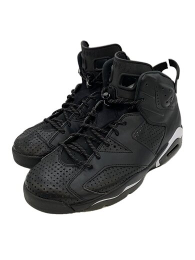 商品画像：AIR JORDAN 6 RETRO/エアジョーダンレトロ/ブラック/384664-020/29cm/BLK/ 1