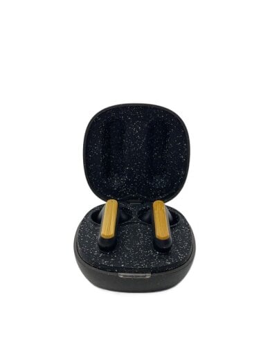 商品画像：イヤホン/EM-DE021R 1