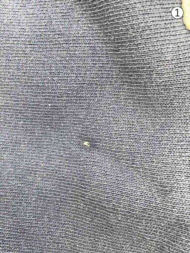 商品画像：reverse weaves/青単色復刻/パーカー/XL/コットン/IDG/無地 6