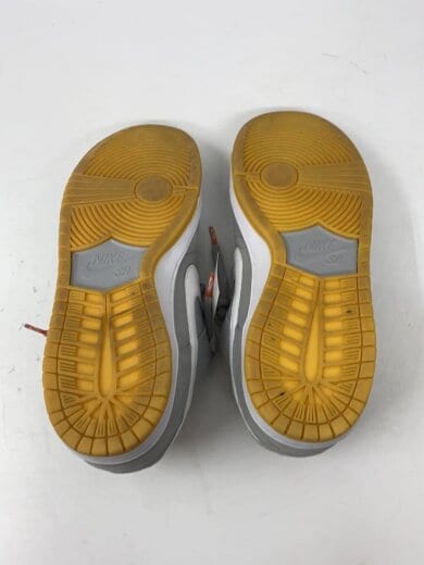 商品画像：DUNK LOW PRO ISO_ダンク ロー プロ アイショッドウェア/28cm/GRY 4