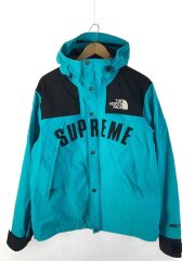 19SS/Arc Logo Mountain Parka/マウンテンパーカ/M/ゴアテックス/NF0A3VMM