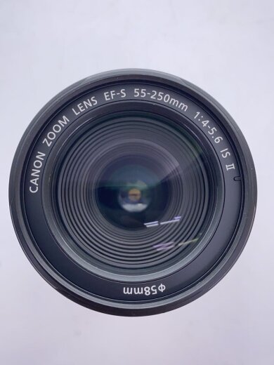 商品画像：レンズ/EF-S55-250mm 4