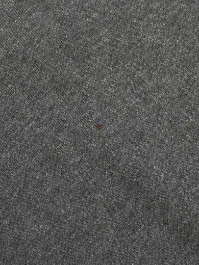 商品画像：スウェット/L/コットン/GRY 6