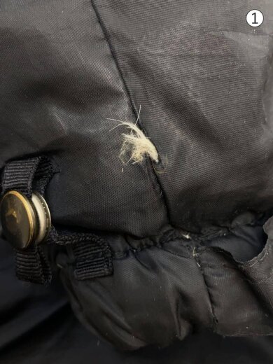 商品画像：ダウンジャケット/L/--/BLK 5